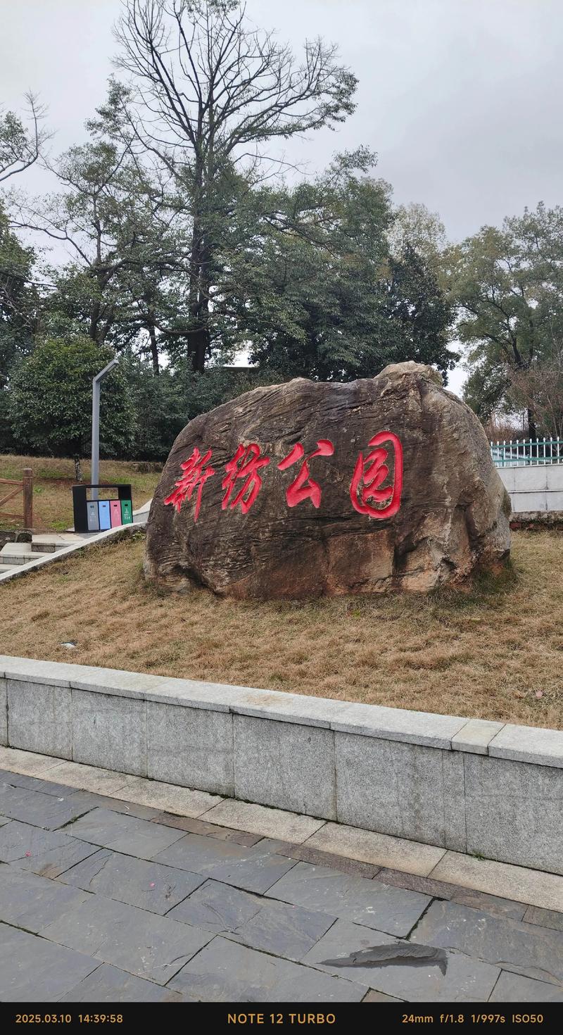 涤棉面料在现代服装设计中的应用与创新